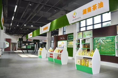 邵陽新增AAA級景區(qū)名單公示，趁秋高氣爽，來一場技術(shù)與自然的融合之旅