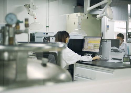 生產(chǎn)活力有序恢復(fù)，儀器儀表綜合服務(wù)與物聯(lián)網(wǎng)應(yīng)用雙輪驅(qū)動(dòng)助力企業(yè)提質(zhì)增效